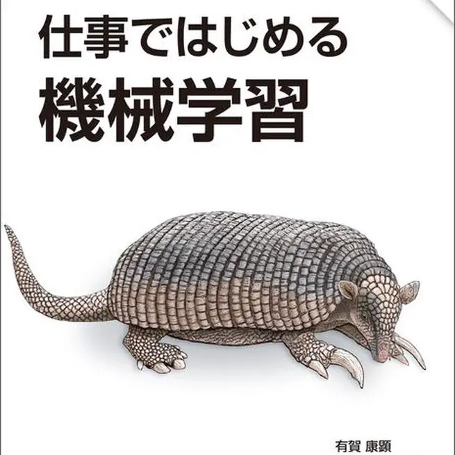 オライリーから「仕事ではじめる機械学習 第2版」を出版しました